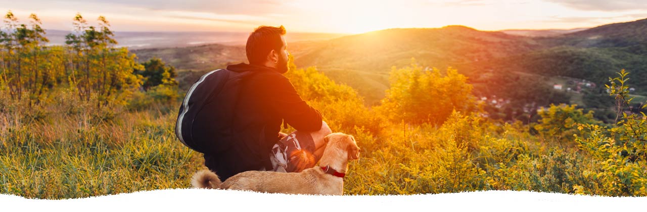 Floradix-Magnesium-Tonic